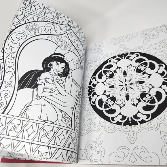 Art Therapy: Disney Princess: 100 Images to Inspire Creativity and Relaxation - Picture 11 of 12